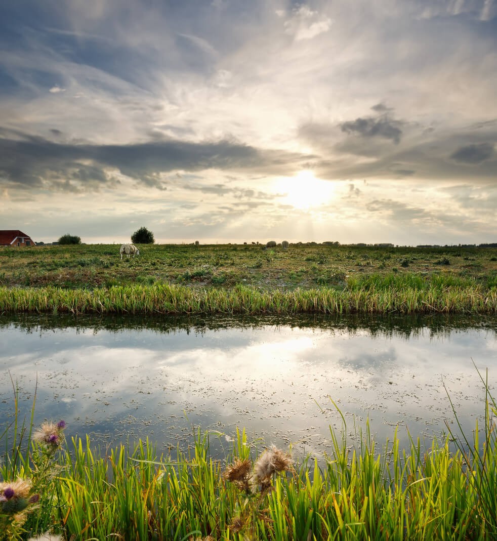 634x648-hero-case-study-deltares Deltares Image
